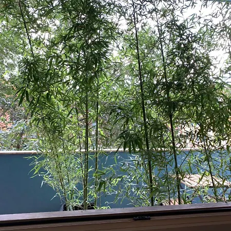 בית הארחה Smoorooms Trastevere *