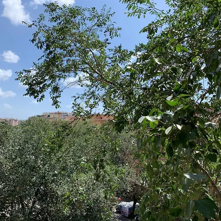 בית הארחה Smoorooms Trastevere