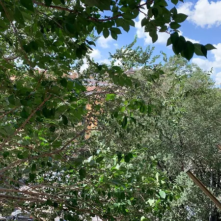 Smoorooms Trastevere בית הארחה